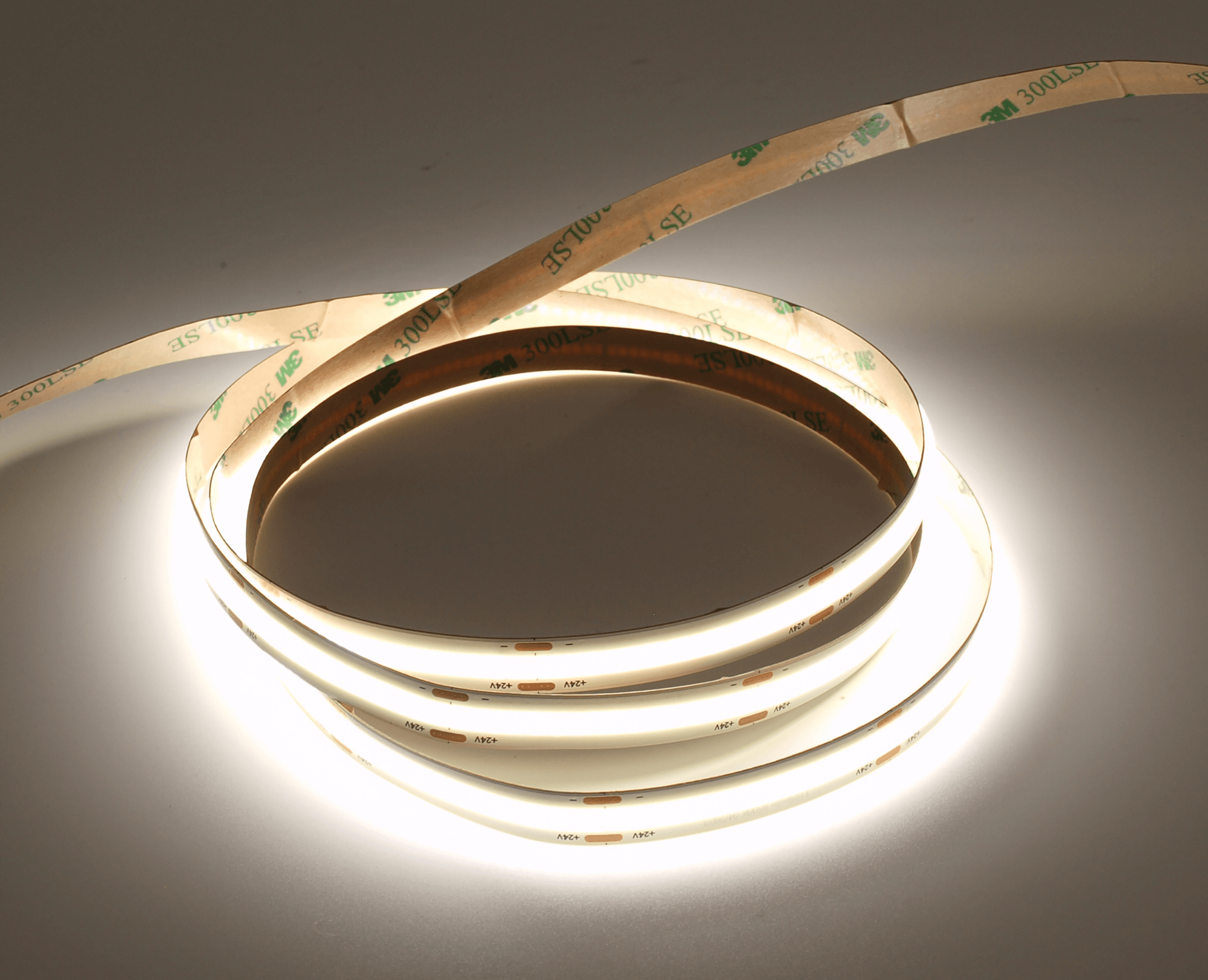 Taśma LED  COB 12W 480 chips/m CRI >90 24V biala 6500K IP20 5m